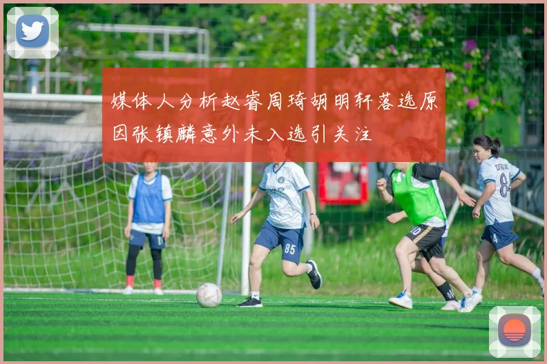 媒体人分析赵睿周琦胡明轩落选原因张镇麟意外未入选引关注