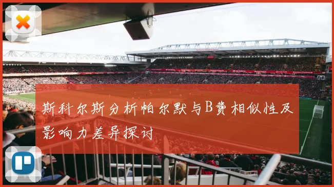 斯科尔斯分析帕尔默与B费相似性及影响力差异探讨